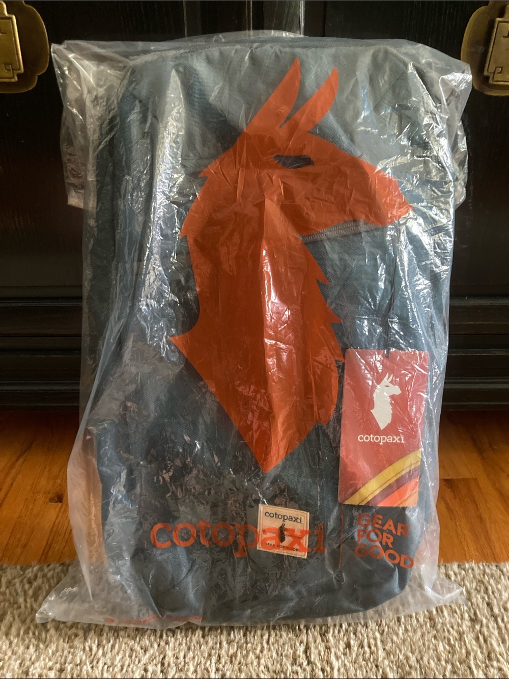 NWT Cotopaxi Nazca 24L Travel Pack Blue - Picture 15 of 16